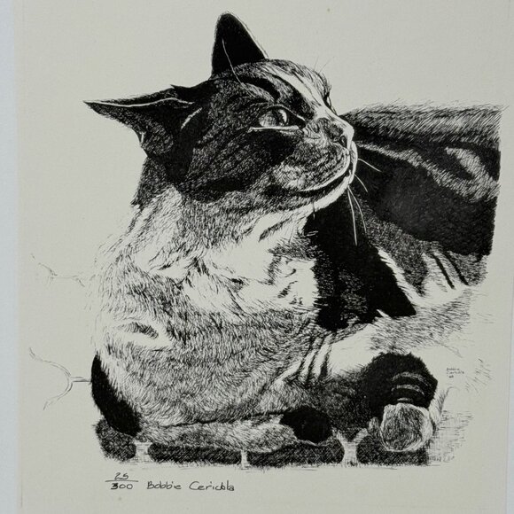 Limited Edition Bobbie Cericola Cat Pen Art Print 25/300 Black White Signed 9x12 - Picture 4 of 7